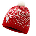 BONNET UNISEXE WINTERLAND DALE OF NORWAY
