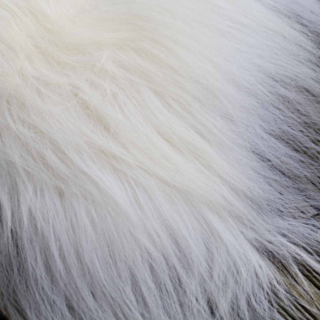 PEAU DE MOUTON ISLANDAIS BLANCHE GRANDE PREMIUM