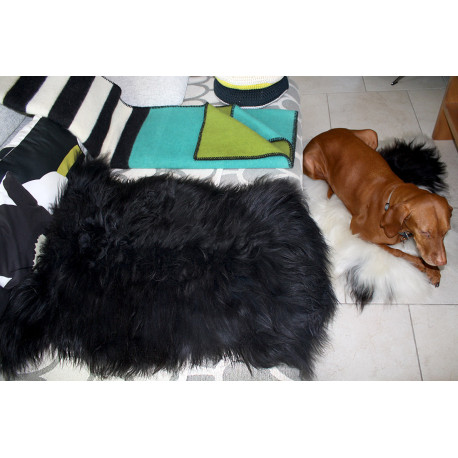 PEAU DE MOUTON ISLANDAIS NOIRE GRANDE PREMIUM