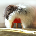 ISLANDIC SHEEPSKIN WHITE SPOTTED BLACK PREMIUM