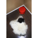 ISLANDIC SHEEPSKIN WHITE SPOTTED BLACK PREMIUM