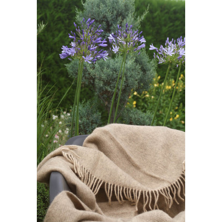 GOTLAND BEIGE PLAID LAINE KLIPPAN YLLEFABRIK