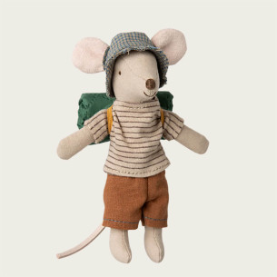 HIKING MICE BIG BROTHER MAILEG SET OF 5 PIECES